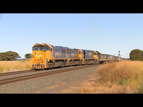 9153 Broad Gauge Pacific National Grain Train (8/1/2023) - PoathTV Australian Railways