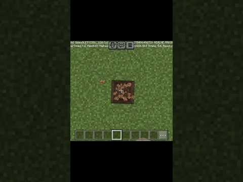 Crazy Gamer - digging for diamonds in Minecraft #shorts