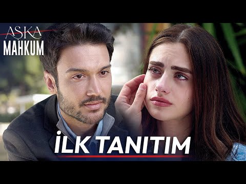 Prisoner of Love Introduction | First Episode Airs Saturday, August 16th!