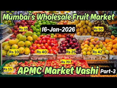 Mumbai’s Wholesale Fruits Market | Vashi APMC Fruit Market Part 3 (Latest) | Wholesale Fruits Mumbai