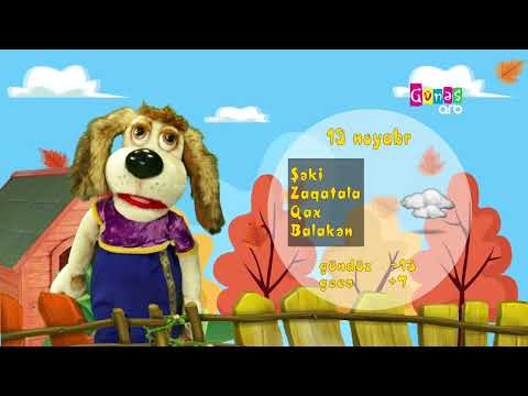 "Hava necə olacaq?" - 12 noyabr 2024-cü il