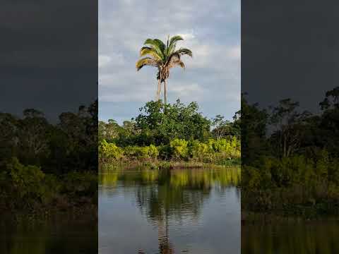 Rios  de autazes  Amazonas