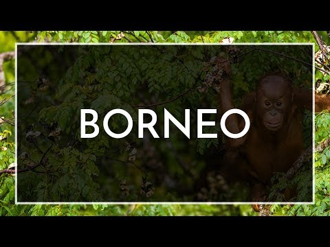 Explore Borneo with Wendy Wu Tours
