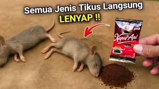 Download lagu Jutaan orang belum tahu‼️Cukup pake ini RUMAH BEBAS TIKUS selamanya mp3 Download lagu Jutaan orang belum tahu‼️Cukup pake ini RUMAH BEBAS TIKUS selamanya mp3