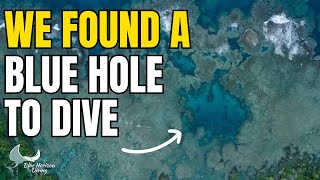 Scuba Diving The BLUE HOLES Of Vanuatu 🇻🇺