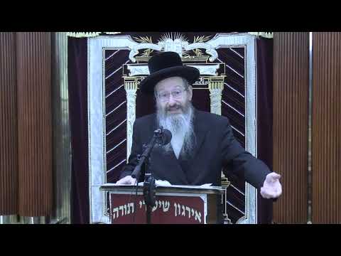 מלאכת זורע בשבת - ר' אברהם שפיטצער שליט"א