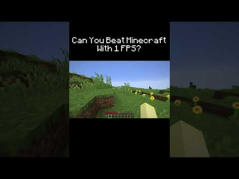 Can You Beat Minecraft With 1 FPS?