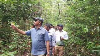 ০৩. প্রধান বন সংরক্ষক মহোদয় কর্তৃক এ বন বিভাগের আওতাধীন কাপ্তাই ও কর্ণফুলী রেঞ্জের সংরক্ষিত বনাঞ্চল ও বিভিন্ন অর্থবছরের SID-CHT প্রকল্পের আওতায় সৃজিত বাগান পরিদর্শন ।