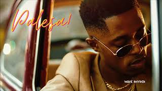 Download lagu Wave Rhyder - Palesa mp3