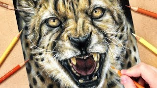 How to Draw a Cheetah using Coloured Pencils | Realistic Animal Drawing Tutorial