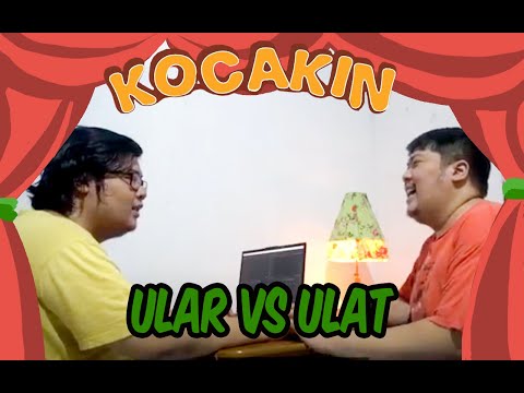 kocakin-ular-vs-ulat