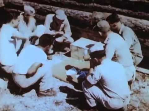 The 362nd Fighter Group: P-47 Thunderbolts over Germany in Color - 1945