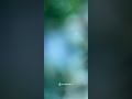 Vengai Song WhatsApp Status Full Scene Praveen Editz