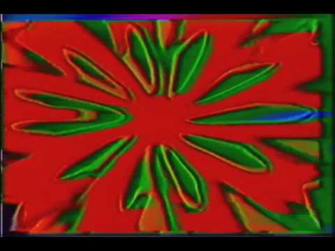 MONOGUM ZAPAHLO VESNOI