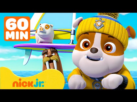 Capa de Rubble da Patrulha Canina Está A Todo Vapor Para Resgates de Animais Selvagens! | Nick Jr.