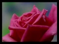 MEDITACIÓN MANTRA SA RE SA SA