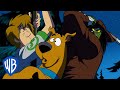 Scooby Doo Frightened Up The Flagpole WB Kids