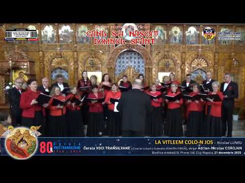 LA VITLEEM COLO-N JOS - Nicolae LUNGU