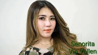 Download lagu Senorita Music Koplo Cover Bye 'Via Vallen' (TBMW) mp3