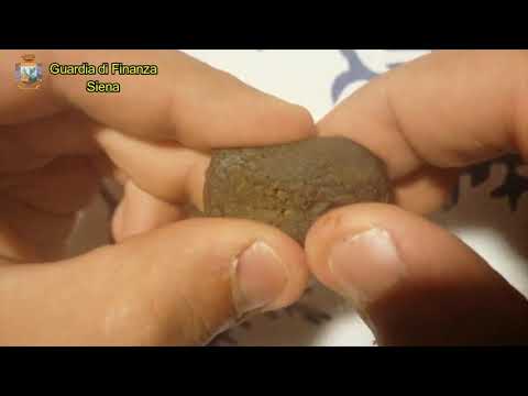 Smantellata piazza di spaccio virtuale a Siena, 21 persone indagate