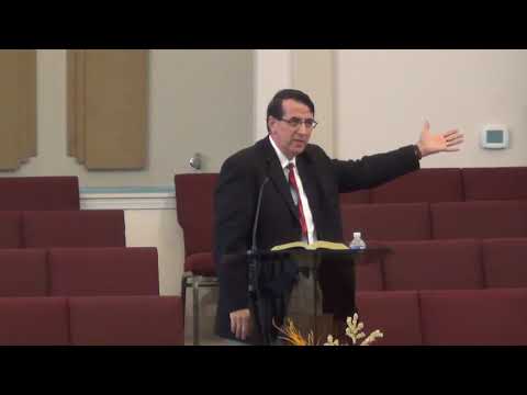 Daniel Branzei -   Sfintenia