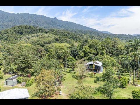 516 Whyanbeel Road, Whyanbeel, Mossman, QLD 4873, 3房, 2浴, House