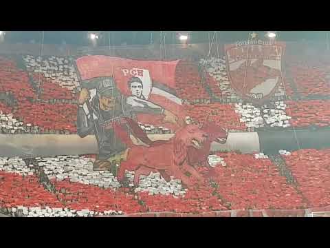 Spectacol total al galeriei PCH la derby-ul cu FCSB 18.02.2018