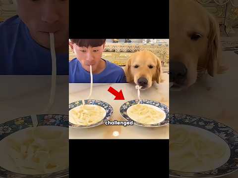 This Dog Was Smarter Than His Owner🐕