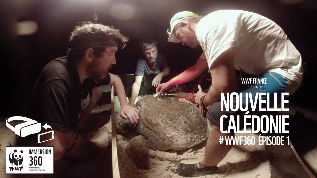 WWF Immersion 360 - Épisode 1 en Nouvelle-Calédonie