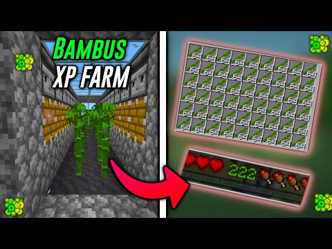 Diese Einfache Kaktus/Bmbus XP Farm muss du sofort bauen  Minecraft 1.20