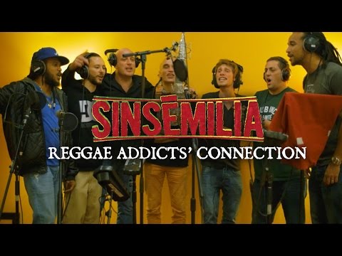 SINSEMILIA - Reggae Addicts Connection - ( Clip Officiel ????️ )