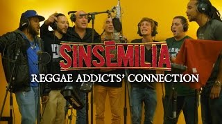 SINSEMILIA - Reggae Addicts Connection - Official Videoclip