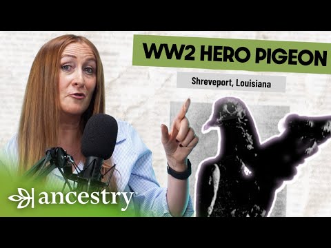 Ancestry and Newspapers.com