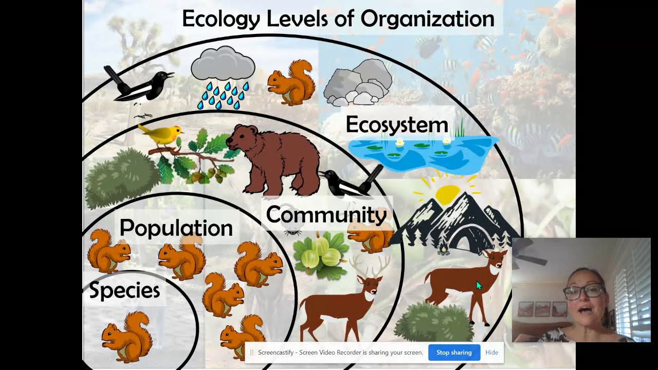 Ecology Levels of Organization