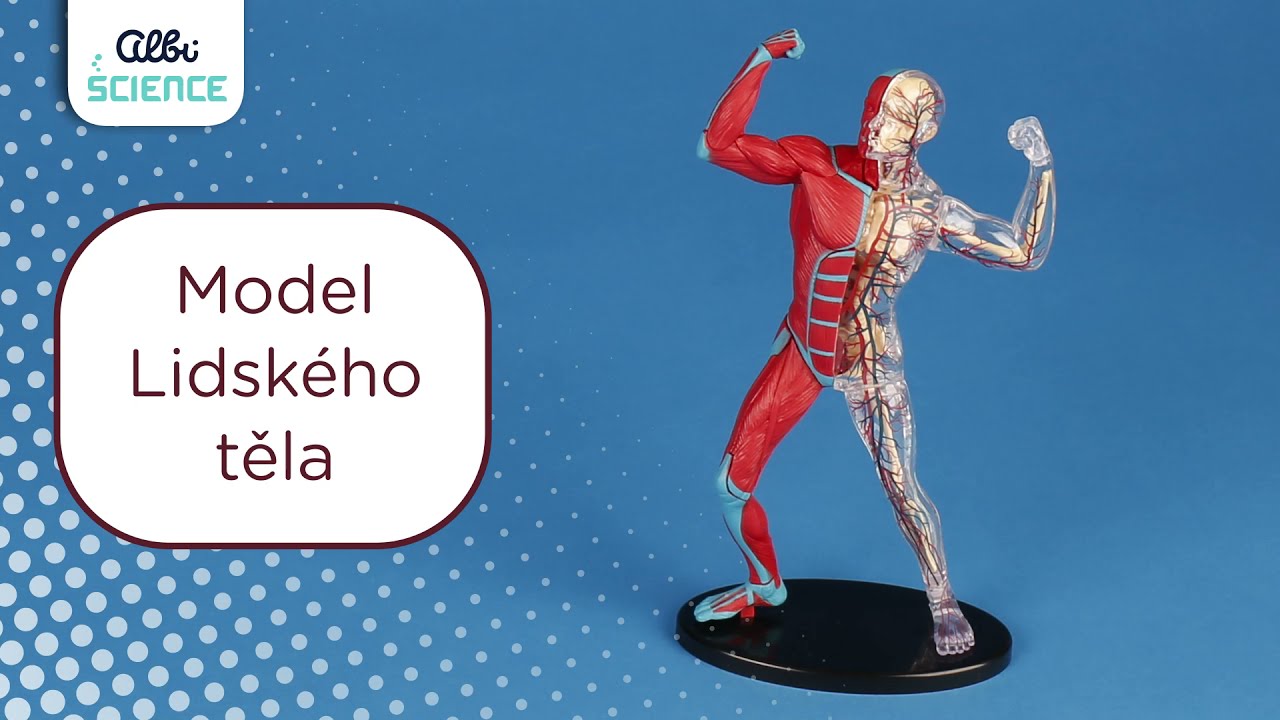 Lidské tělo - Objevuj svět! - videonávod
