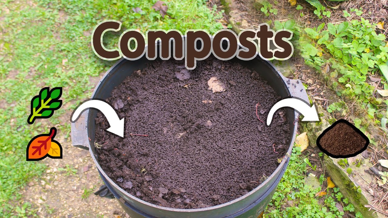 Compost : quelle luminosité faut-il vraiment apporter au compost