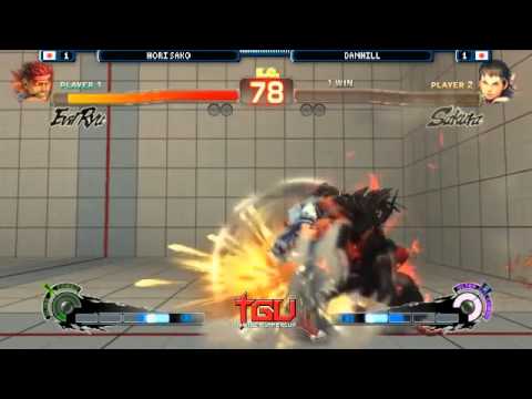 TGUC 2013 - HORI.Sako (Evil Ryu) vs. Danhill だんひる (Sakura) - AE Top 8 (L)