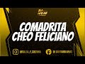 COMADRITA CHEO FELICIANO+letra/ DJ ARIAS