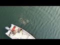 Video Thumbnail for Fishing Weed Beds For northern Pike (topwater action)