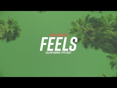 Calvin Harris x Frank Ocean Type Beat | "Feels" (Prod. Incline Beats)