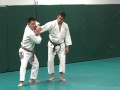 Standing Armbar Submission 101 Tech W Jordan Collins
