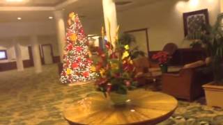 Holiday in Waikiki 2015