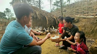 Family Life - More than Picking Eggs and Picking Vegetables to Market, Ninh Making a New Bean Stand
