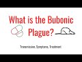 What is the Bubonic Plague? Overview on transmission, symptoms and treatment