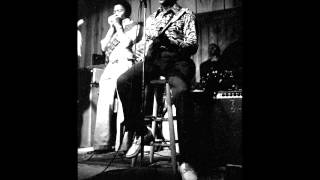 Muddy Waters - You Don't Have To Go - Live in 1972