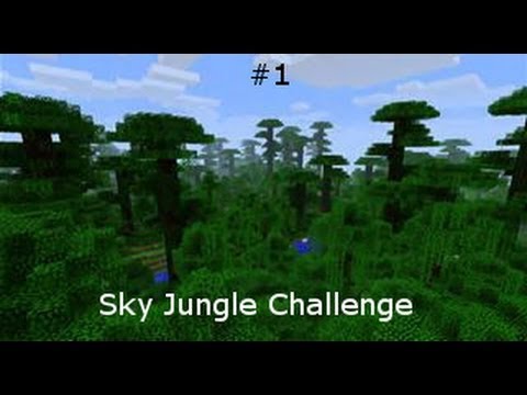 EPIC Minecraft Sky Jungle Challenge! New Player, New Biome