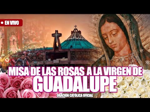 MISA DE LAS ROSAS VIRGEN DE GUADALUPE desde la Basílica de Guadalupe HOY JUEVES 12 DE DICIEMBRE 2025
