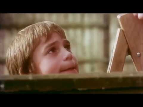 Allianz Werbung "Kirschbaum"