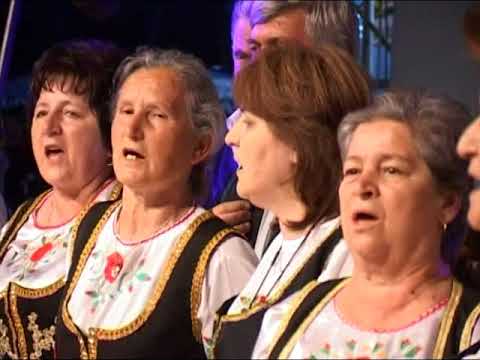 KUD Raspevani Pozezani, Pozega - Sabor trubaca, Kolovrat Prijepolje 2008