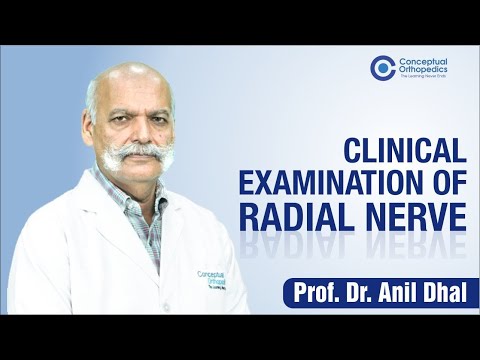 Clinical Examination of Radial Nerve By Prof. Dr. Anil Dhal